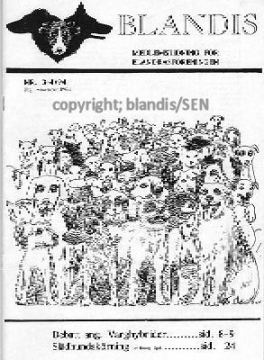 Blandis-1994-nr-3-4