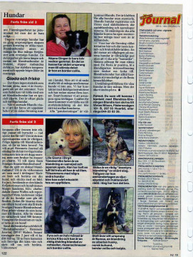 HJ1994-2