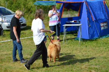 1_DSC_0380