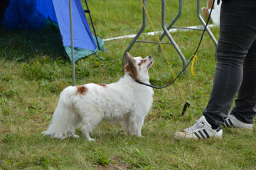 DSC_0277