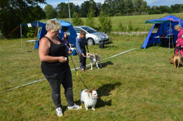 DSC_0354