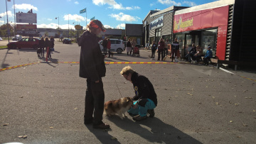 WP_20150926_10_07_05_Pro