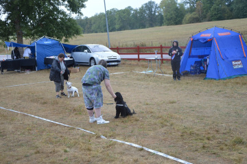 DSC_0001a-724