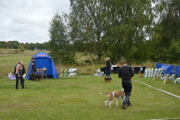 DSC_0611