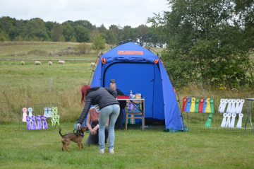 DSC_0739
