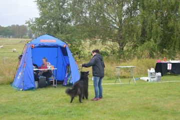 DSC_0770