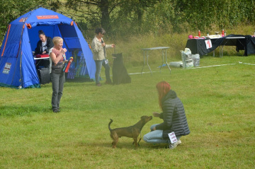 DSC_0818
