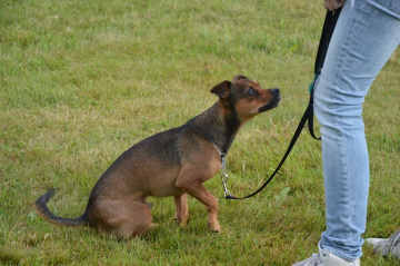 DSC_0825