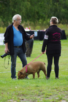 IMGP0252_redigerad-1