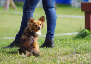 IMGP0260_redigerad-1