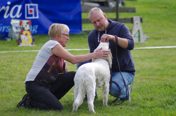 IMGP0262_redigerad-1