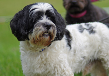 IMGP0279_redigerad-1