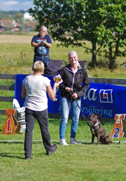 IMGP0311_redigerad-1