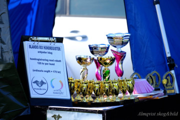 DSCF1348_redigerad-1