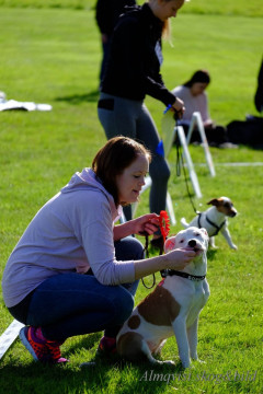 DSCF1355_redigerad-1