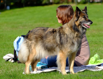 DSCF1362_redigerad-1