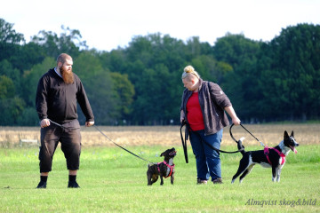 DSCF1368_redigerad-1