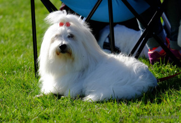 DSCF1370_redigerad-1