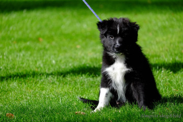 DSCF1374_redigerad-1