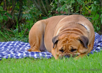 DSCF1380_redigerad-1