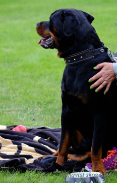 DSCF1396_redigerad-1