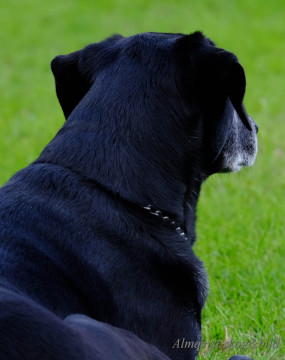 DSCF1399_redigerad-1