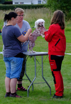 DSCF1418_redigerad-1