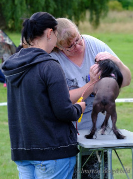 DSCF1453_redigerad-1