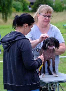 DSCF1457_redigerad-1