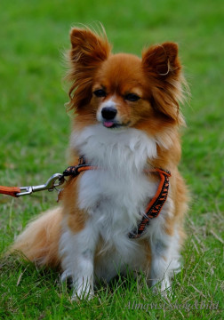 DSCF1464_redigerad-1