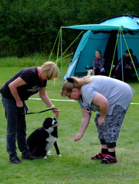 DSCF1484_redigerad-1