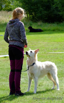 DSCF1508_redigerad-1