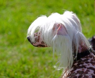 DSCF1516_redigerad-1