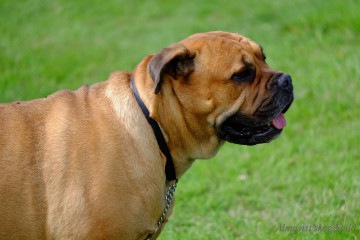 DSCF1524_redigerad-1