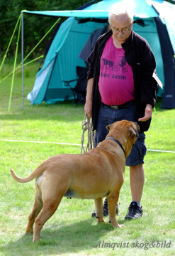 DSCF1529_redigerad-1