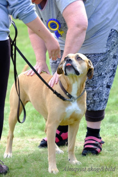 DSCF1530_redigerad-1