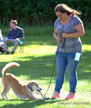 DSCF1554_redigerad-1