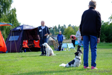 DSCF1564_redigerad-1