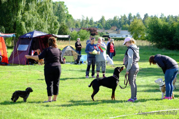 DSCF1575_redigerad-1