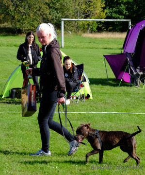 DSCF1590_redigerad-1