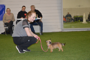 DSC_2035