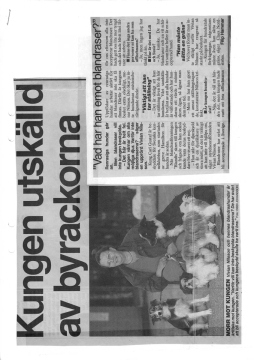 1996kundensbeskyddare