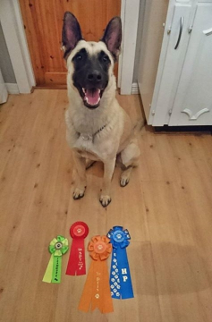 FB_20160828_19_24_18_Saved_Picture