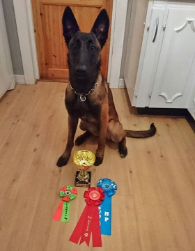 FB_20160828_19_24_23_Saved_Picture