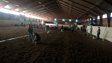 WP_20160827_09_39_54_Pro