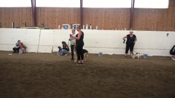 WP_20160827_11_40_11_Pro