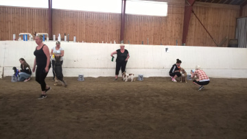 WP_20160827_11_40_14_Pro