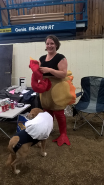 WP_20160827_18_38_40_Pro