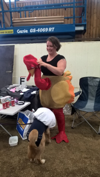 WP_20160827_18_38_42_Pro