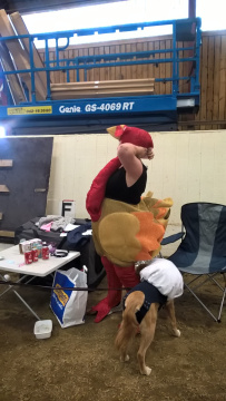 WP_20160827_18_38_48_Pro